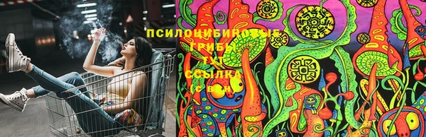 jwh Алзамай