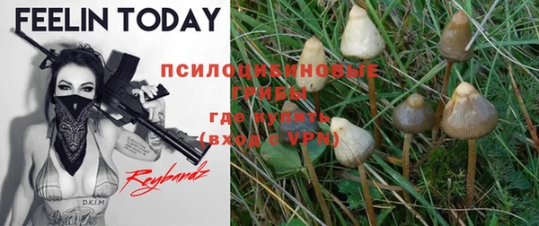 MDMA Premium VHQ Алексеевка