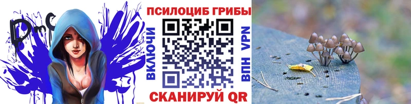 Псилоцибиновые грибы Cubensis  цена   blacksprut онион  shop наркотические препараты  Оханск 