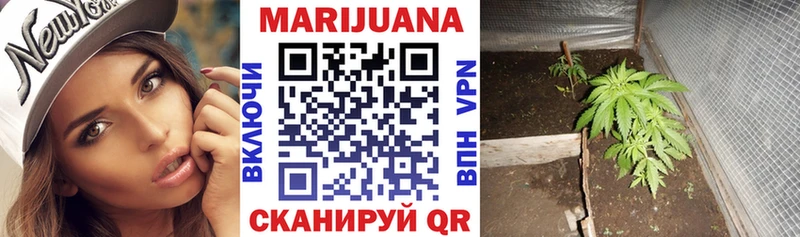 где найти   Оханск  Конопля Bruce Banner 